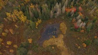 Fall in New Brunswick! (drone video)