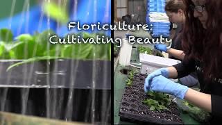 Michigan Floriculture: Cultivating Beauty (one-minute version)