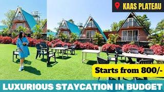 Luxurious Stays in Satara-Kaas | Budget Resort-Homestay with Valley View | Flower Valley