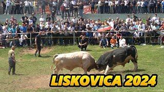 Bullfighting in Bosnia 3