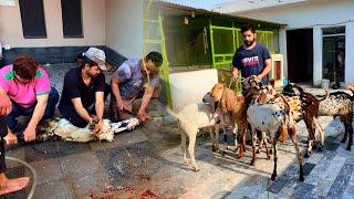 Bakron ki Qurbani kr li hai Allah kabool farmaye, Hsn Entertainment Bakra Eid Special Vlog