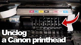 How to unclog a Canon Pro 100 Printhead