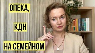 Опека, КДН и семейное образование: есть ли опасность? Часть 1 #семейноеобразование #опека