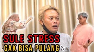 SULE KENA BATUNYA, STRESS SAMPE MINTA PULANG⁉️