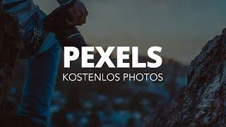 Bilder kostenlos herunterladen // Pexels (Tutorial) Deutsch