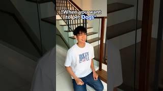 Cats is like a big boss