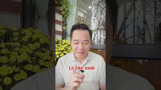 Cách điều trị bệnh gout #cachdieutribenhgout #tuangout #suckhoevang