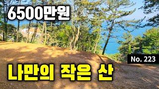 바다뷰 아담한 소형임야!~ 일주도로에서 10초! 농취증 없이 매수! (경남 통영)