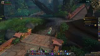 The Hunter Quest ID 47522 Playthrough WoW