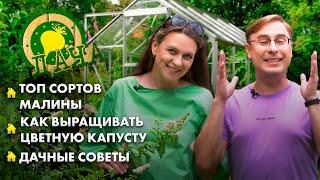 Топ сортов малины | Советы по выращиванию цветной капусты | Лунный календарь. Дача