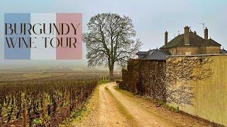 Burgundy France Wine Tour | Best Pinot Noir & Chardonnay In The World!!