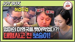 [#조선의사랑꾼] 방송도 잊고 표정 굳어진 이경실 갑작스런 손보승의 식탐에 이유가 있다고?! #TV조선조이 (TV CHOSUN 250310 방송)