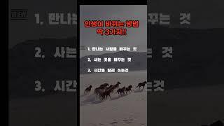 #한국힐링대학교 #힐링강사양성국내1위 #100세현역 #인생2막 #평생일자리 #꿈실현출판사 #한국시니어모델협회 #웰다잉 #웃음치료#치매예방