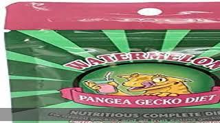 Pangea Fruit Mix Watermelon Complete Gecko Diet 2 oz, Green