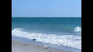 Florida, Englewood Beach on sunny afternoon, cloudy evening and beautiful sunset after sunny day