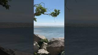 The convergence of sediment-laden water with clearer water of Lake Erie at Point Pelee in Canada!