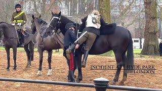 Incident at Hyde Park #uk #london #hydepark #england #horse #horses