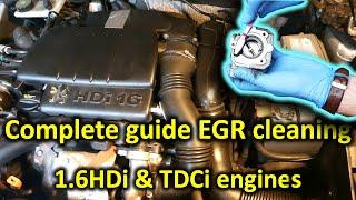 The complete guide to EGR cleaning (1.6HDi and 1.6TDCi engines)