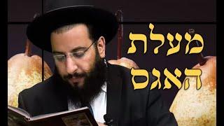 אגס - מעלות סגולות וטיפים | מועיל למעיים | מדור בריאות | הרב רביד נגר