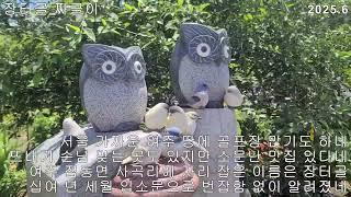 여주 장터골 짜글이