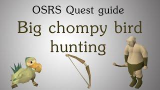 [OSRS] Big chompy bird hunting quest guide