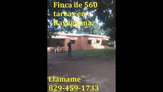 Finca de 560 tareas en Bayaguana