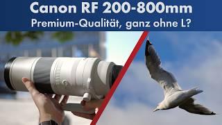 Canon RF 200-800mm IS USM | Super-Tele-Zoom im Test [Deutsch]