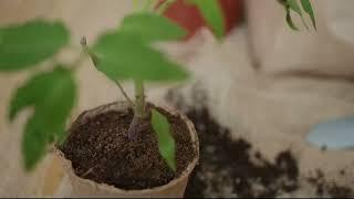 Up to 30 percent increase in harvest yield, healthier plants, more food value for humans and animals