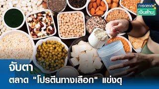 จับตา ตลาด "โปรตีนทางเลือก" แข่งดุ | การตลาดเงินล้าน 9 ต.ค. 67