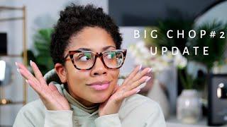 BIG CHOP #2 UPDATE w/ PICTURES | Faceovermatter