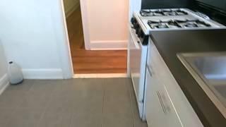 Cozy Studio for rent in Flushing, NY 11354