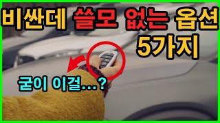 비싸기만 하고 쓸모 없는 자동차 옵션 5가지. 신기하긴한데... 돈 아낍시다..ㅎㅎ