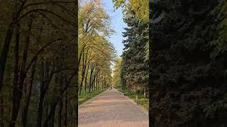 today I walked in the botanical garden #walking #asmr