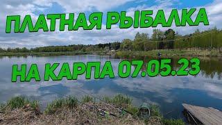 ПРОВЕЛИ ДЕНЬ НА ПЛАТНИКЕ ЗА КАРПОМ 07.05.23г.