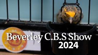 BEVERLEY C.B.S SHOW 2024