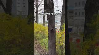지혜로워지는 방법 7 #공감 #인생조언 #좋은글