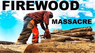 FIREWOOD MASSACRE IN THE WOODYARD!