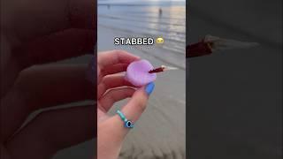 LOOKING FOR FIDGETS at the BEACH!  *weird amazon fidgets*