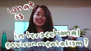 WHAT IS INTERSECTIONAL ENVIRONMENTALISM? | Cheyenne Tang PAACx 2020