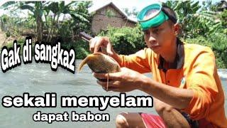 MEMANAH IKAN DI SUNGAI DAPAT IKAN EMAS DAN NILA