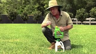 Seasol for Lush Green Lawns Seasol Product Video Nigel Ruck