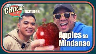 CHITchat Features "Apples sa Mindanao"
