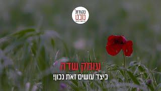 קורס צילום - שיעור לדוגמא ביצירת עומק שדה - בחינם