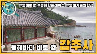 동해바다가 보이는 아름답고 소박한 사찰 감추사