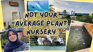 BEST PLANT NURSERY IN OMAN? 360 GREEN FARM | PLANT SHOP MUSCAT OMAN