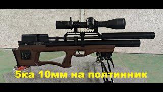Крюгерка 5.5 Кучность - 1см на полтинник