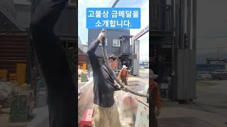 이 맛에 고물상 하지요!