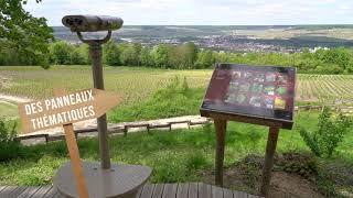 Le Mont Bernon : panorama sur le territoire viticole