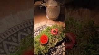 Уникальный русский ресторан "Икра" в Красной Поляне / Unique russian Restaurant "Ikra"
