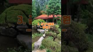 부산에서 가장 인기있는 수목원 베스트5 #부산 #수목원 #치유 #힐링 #여행 #숲 #가족 #양 #동물원 #벚꽃 #수양버들 #가을 #단풍 #kpop #뉴스 #automobile